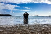 Bums on the Beach   In Fuerteventura